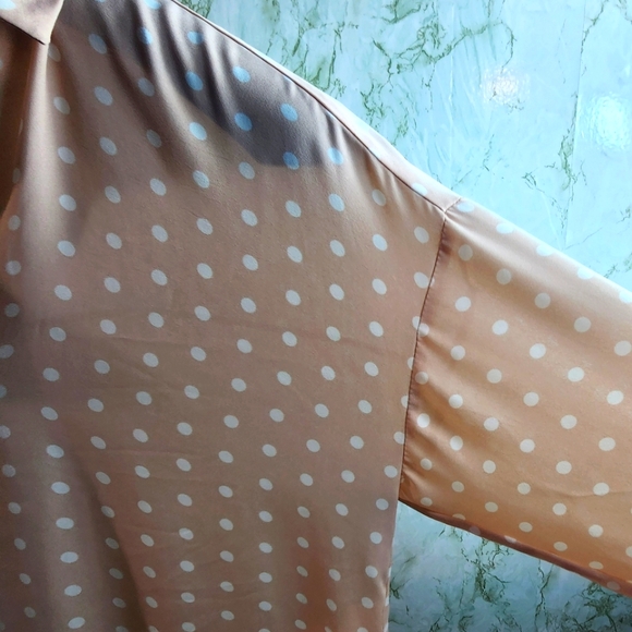 DR2 Polka Dot Vneck Blouse - Picture 4 of 10